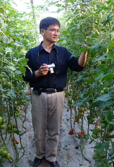 全國(guó)政協(xié)委員李寶聚：培育設(shè)施蔬菜種植大戶，推進(jìn)設(shè)施蔬菜產(chǎn)業(yè)高質(zhì)量發(fā)展