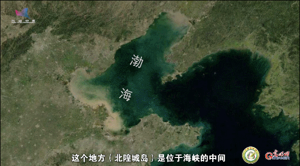 【一線調(diào)研·青春有為】一座海島，一群博士，二十年接力只為一件事