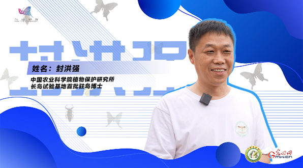 【一線調(diào)研·青春有為】一座海島，一群博士，二十年接力只為一件事