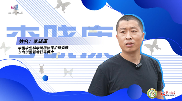 【一線調(diào)研·青春有為】一座海島，一群博士，二十年接力只為一件事
