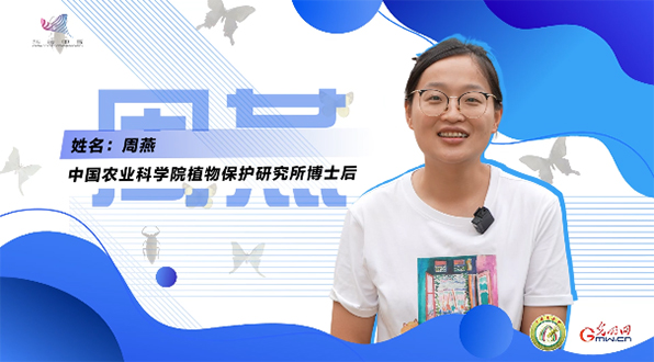 【一線調(diào)研·青春有為】一座海島，一群博士，二十年接力只為一件事