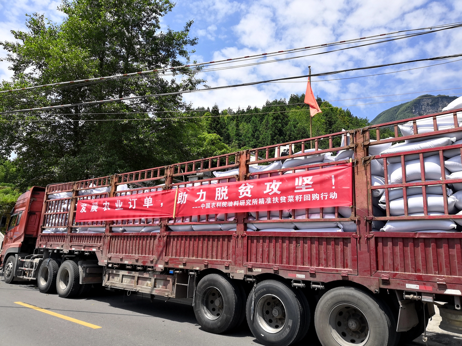 4 2019年6月油菜遺傳育種團(tuán)隊(duì)通過科技下鄉(xiāng)在恩施田鳳坪.jpg