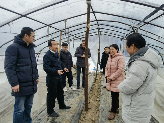 3 邱正明研究員率領(lǐng)小分隊在湖北調(diào)研指導(dǎo)_副本.jpg