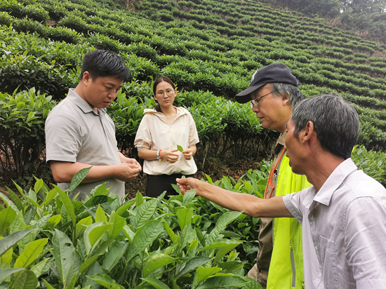 專家團(tuán)赴云南廣南縣開展技術(shù)指導(dǎo)_副本.jpg